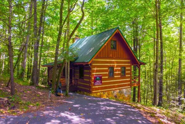 Rustic cabin surrounded by trees