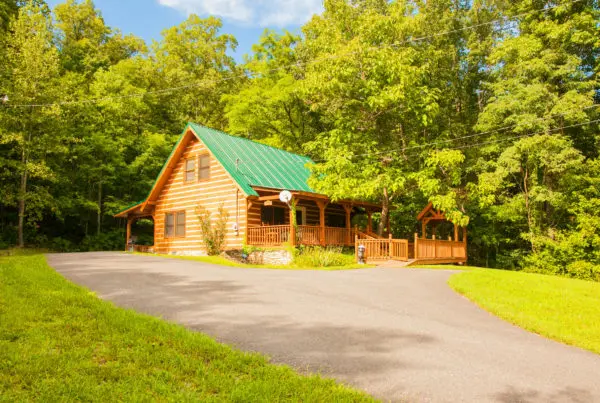 Rustic cabin with green roof
