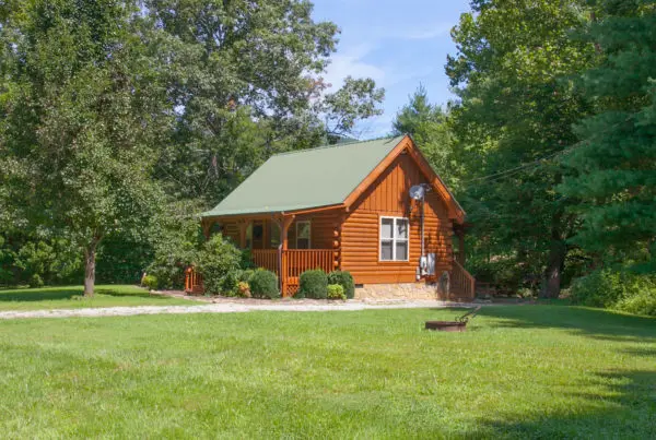 Cozy log cabin surrounded by trees