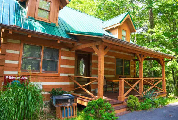 Cozy wooden cabin surrounded by trees