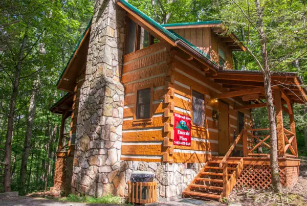 Cozy wooden cabin amid trees