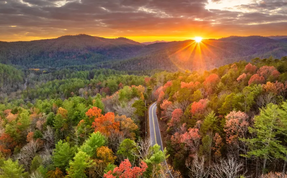 Sunset over scenic forest road
