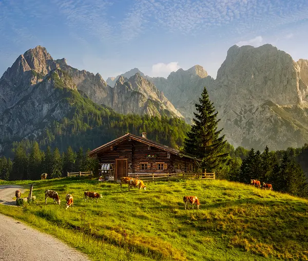 Rustic cabin in alpine landscape