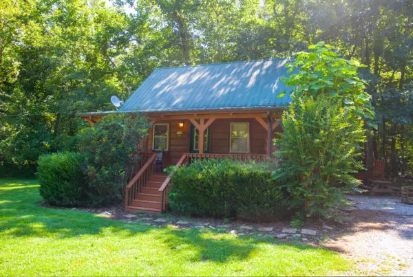 Cozy cabin surrounded by lush greenery
